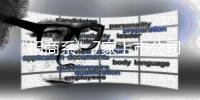 快排公司十年历程，霸屏兔 seo 的崛起与坚守