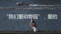 “我们爱动物园”，爱的是什么？