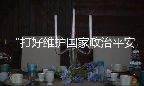 将落实总体国家平安观