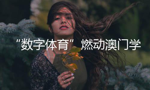 模拟赛车等多元项目