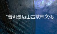 “普洱景迈山古茶林文化景观”，申遗成功
