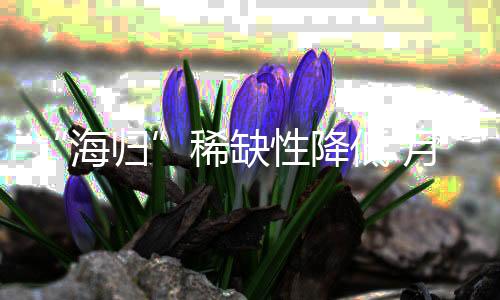 入涨留学生的幅放稀缺性降低