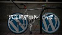 “汽车拖猫事件”后续：三人造谣网暴被行拘