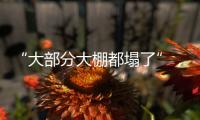“大部分大棚都塌了”，湖北农业冻雨后迎大考