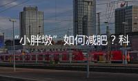 “小胖墩”如何减肥
？科学减重看这里