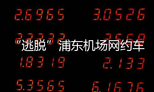 逃脱尝试用高德打车下单