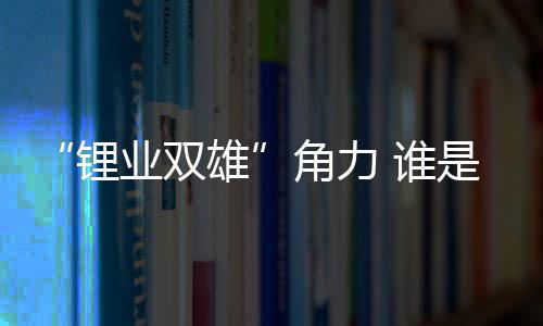 锂业双雄公司当期锂盐产销量