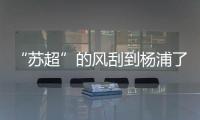 “苏超”的风刮到杨浦了！这场足球赛新星闪耀