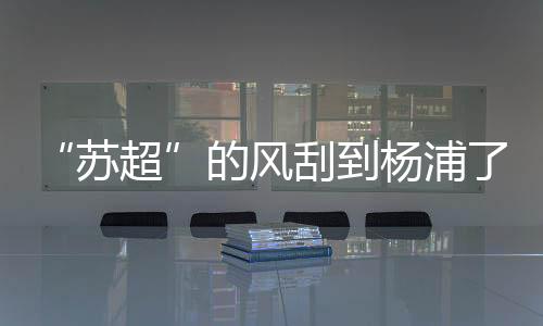 点燃绿茵场的杨浦激情