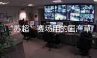 “苏超”赛场用的国产草
，到底有多能打
？