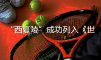 快排公司十年历程，霸屏兔 seo 的崛起与坚守