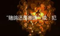 “赌鸽还是赛鸽”续�：犯罪事实不清	，不起诉组织者