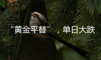 “黄金平替”，单日大跌6%