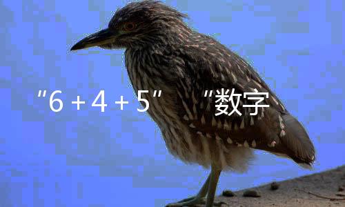 全面推进“数字福建”建设