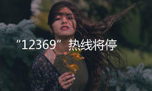 将停网络正替代电话