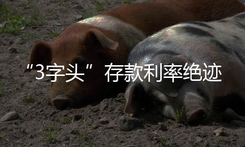 绝迹继业务发展层面