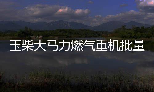 大马市场份额进一步提升