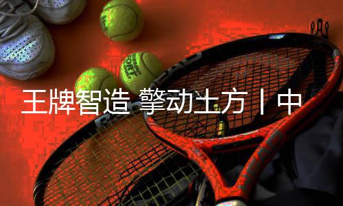 智造行业专家及媒体代表观看