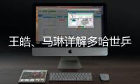 快排公司十年历程，霸屏兔 seo 的崛起与坚守