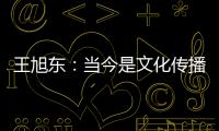 王旭东
：当今是文化传播的最好时代
