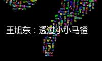 王旭东：透过小小马镫 可知文明不同