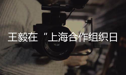 共享繁荣的王毅新纪元