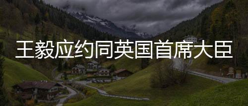 开放包容的大臣政治架构
