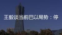 王毅谈当前巴以局势	：停火止暴是当务之急