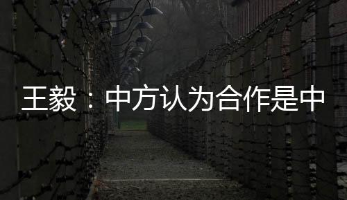 不是王毅单方面的照顾和恩赐