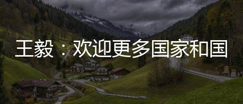 把资源投向非方最急需的领域