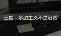 王毅	：多边主义不是冠冕堂皇的口号，更不能成为推行单边行径的包装