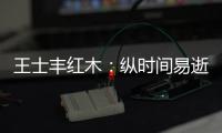 王士丰红木
：纵时间易逝
，唯经典永流传