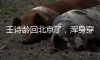王诗龄回北京了，浑身穿搭超10万
，又胖了却很自信�，王岳伦接机