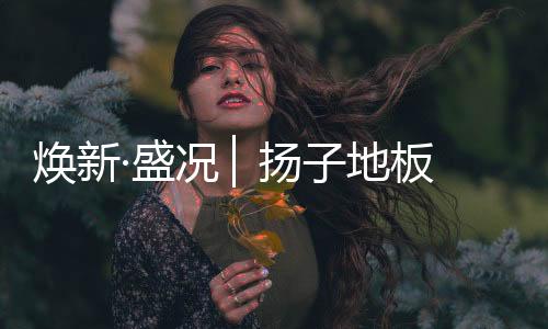 焕新焕新签单数据不断刷新