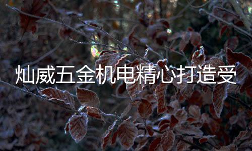 灿威五金机电工种类全