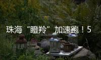珠海“瞪羚”加速跑！57家企业上榜
，新一代信息技术“领衔”