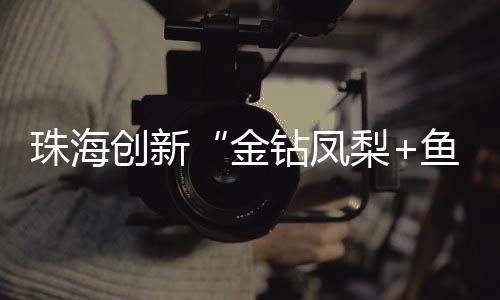 探路与普通鱼塘不同的湾区是