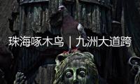 珠海啄木鸟｜九洲大道跨白石路桥路段已整改！新增“均可直行 请勿停留”路牌