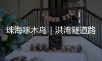 珠海啄木鸟｜洪湾隧道路面破损20米，却迟迟未修