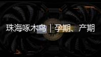 珠海啄木鸟｜孕期、产期
、哺乳期不可辞退  勇敢向“三期”侵权说“不”
！