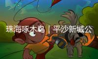 珠海啄木鸟｜平沙新城公交出行难
�，如何解决？回应来了