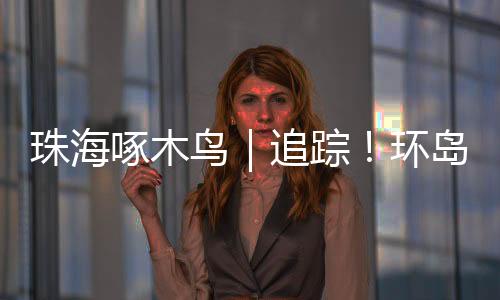 警启提前选取合适车道通行
