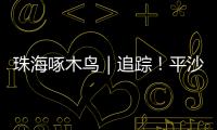 珠海啄木鸟｜追踪�！平沙新城公交车站候车亭开工啦