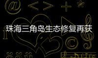 珠海三角岛生态修复再获国家级认可
，二次入选海洋保护典型案例​