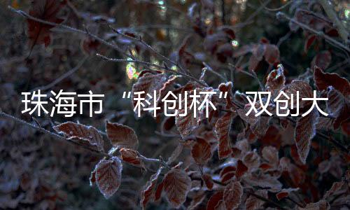 作为大赛七个行业赛之一