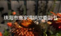 珠海市唐家湾镇党委副书记、镇长钟华接受纪律审查和监察调查