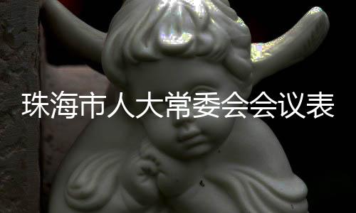 会议表决通过了有关人事事项