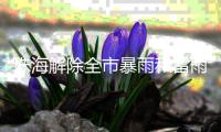 珠海解除全市暴雨和雷雨大风预警！今天天气→