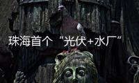 珠海首个“光伏+水厂”并网发电，打造绿色低碳新标杆