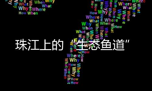 加大人工增殖放流力度